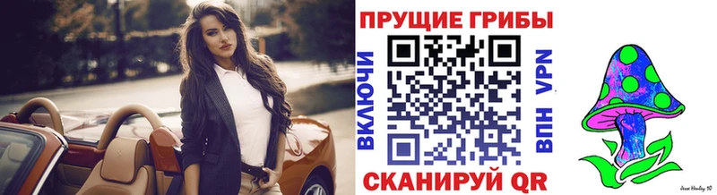 Псилоцибиновые грибы Cubensis  Купить закладки  Иркутск 